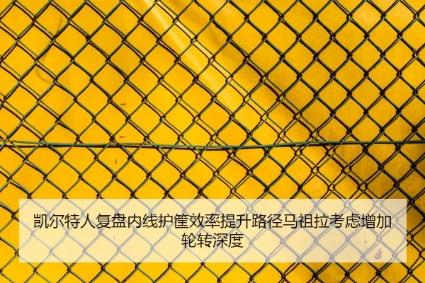 凯尔特人复盘内线护筐效率提升路径马祖拉考虑增加轮转深度